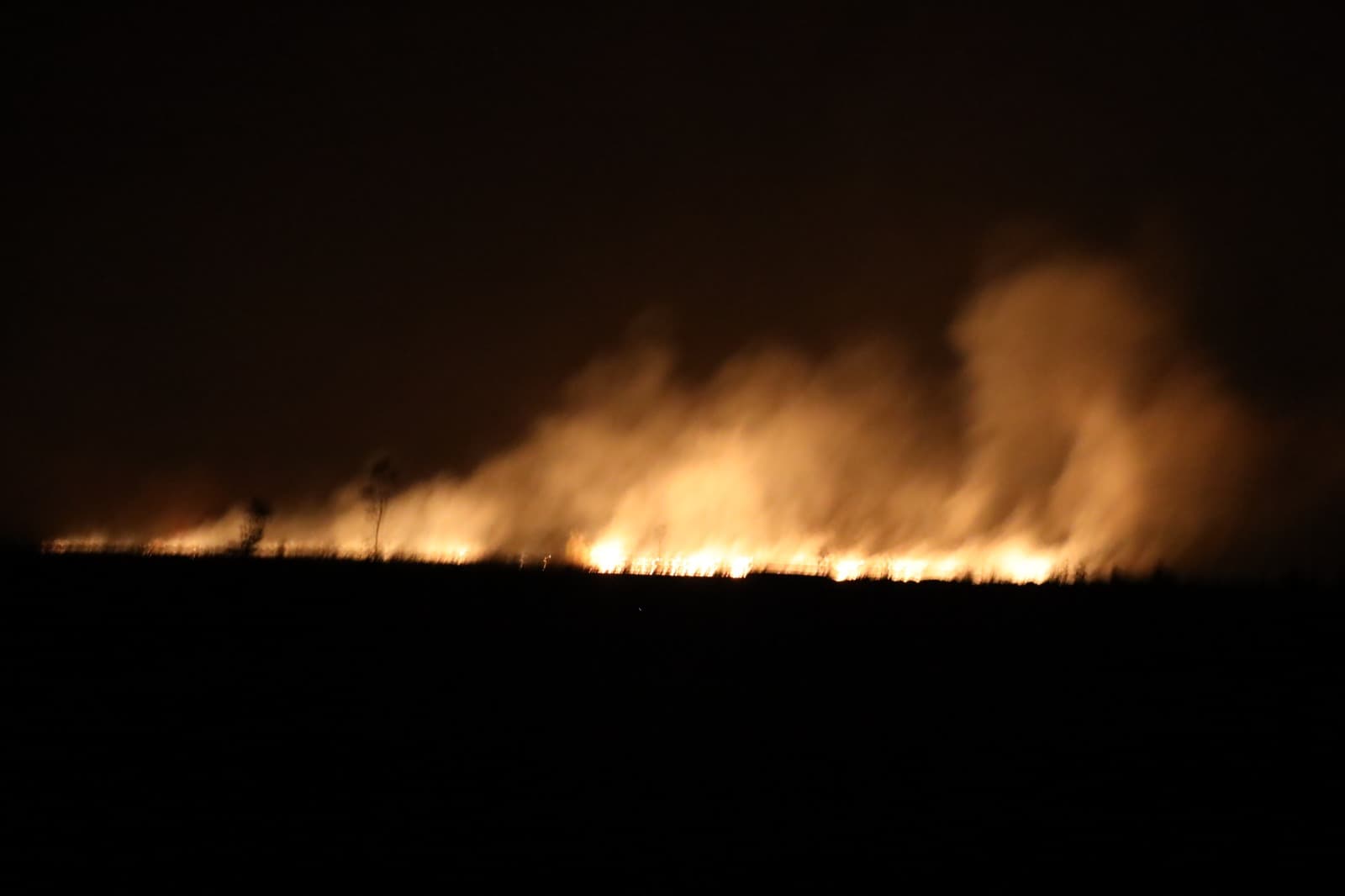 Solidaritas Merauke